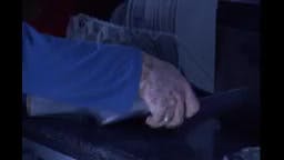 Episodio 239