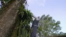 Episodio 25