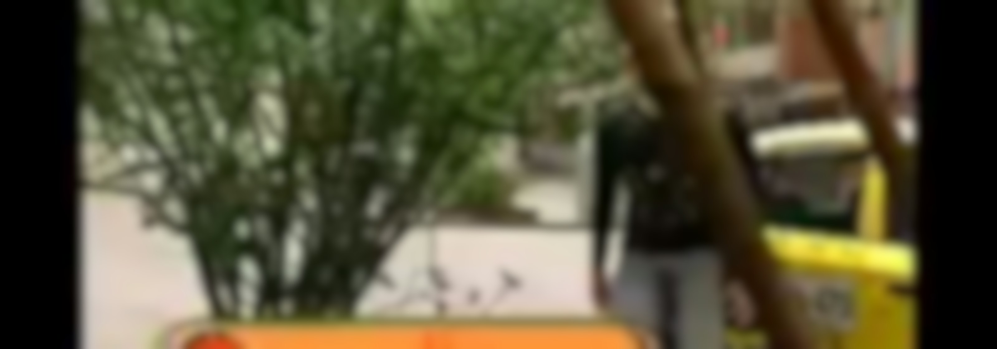 T4-Episodio 33