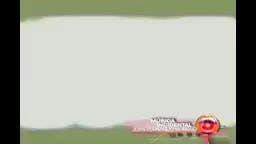 T5-Episodio 111