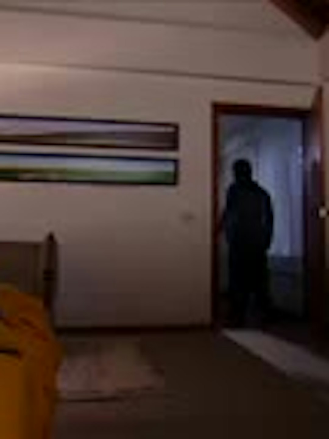 T5-Episodio 195