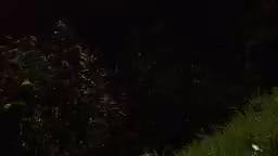 T5-Episodio 320