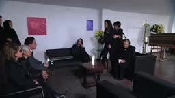 T5-Episodio 373