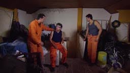 T5-Episodio 461