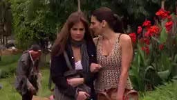 T5-Episodio 484