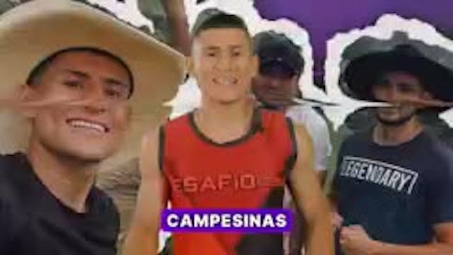 Rata, velocidad sin miedo