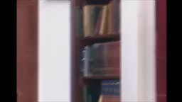 Episodio 22
