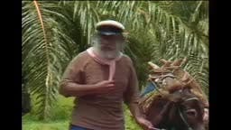 Episodio 46
