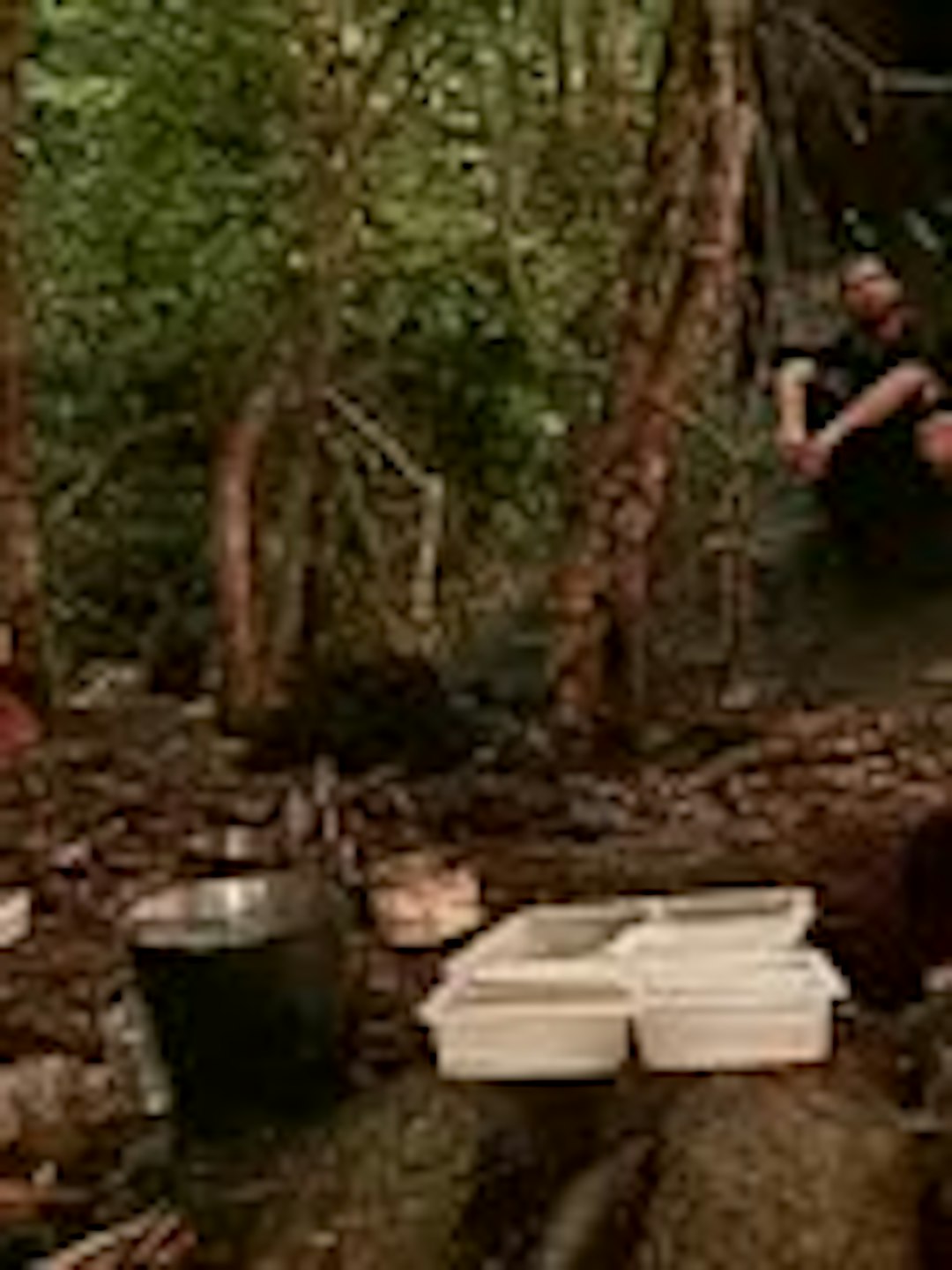Episodio 15