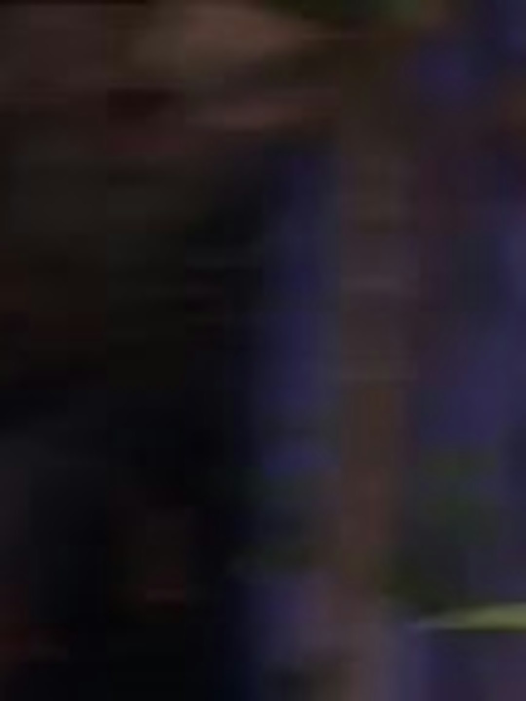 Episodio 29