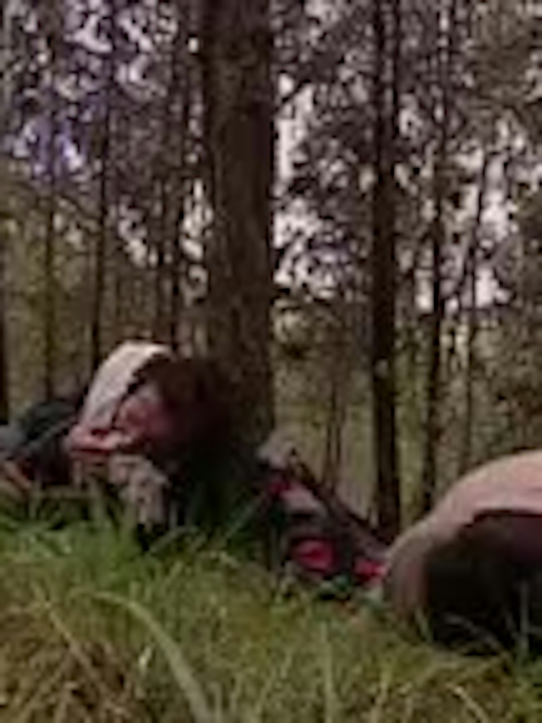 Episodio 79