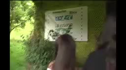 Club 10 - Año 11