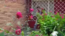539. Pago para trabajar