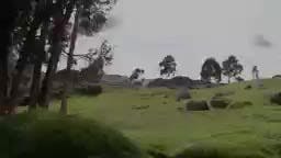 669. Confianza peligrosa