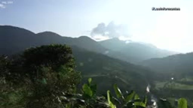 ¿Naufragó remando por la paz?.