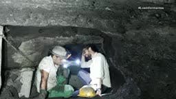 Carbon Ilegal, La nueva coca