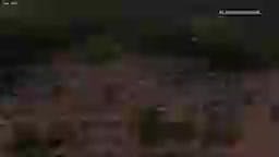 Selva a la carta