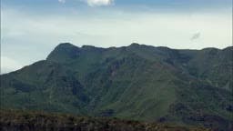 15. La culebra pico de oro