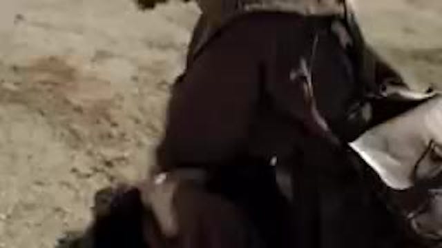 Toma tu camilla y Anda