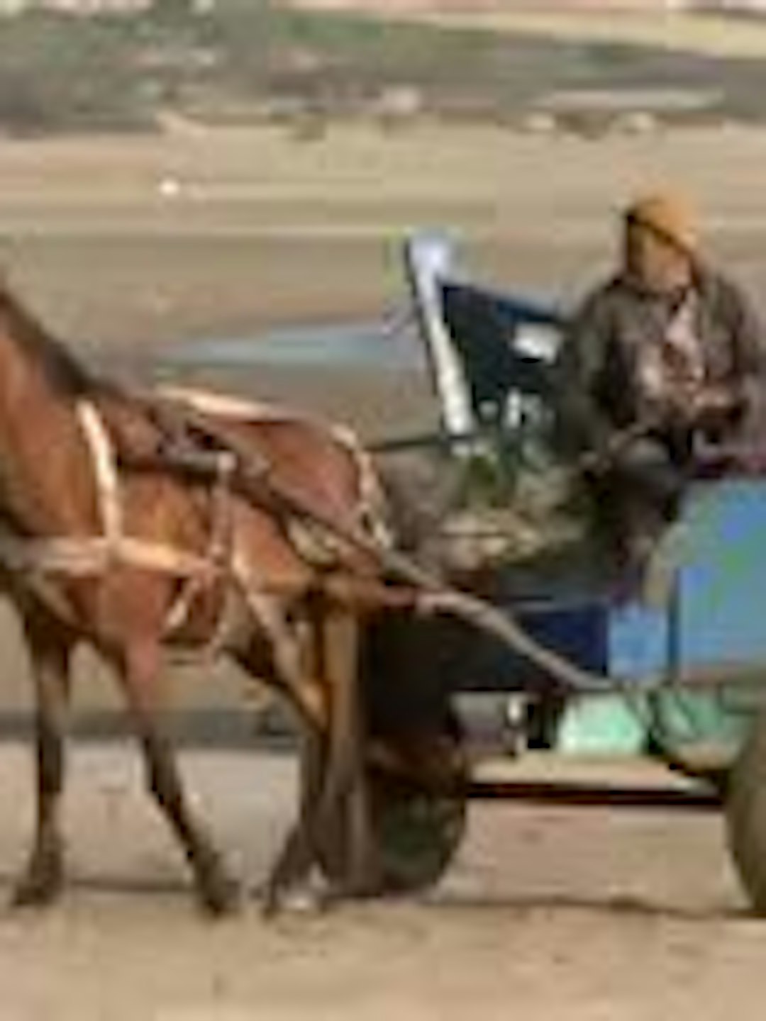 Marruecos, viento y locura