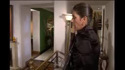 Episodio 409