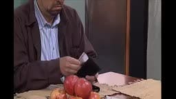 Episodio 739