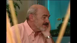 Episodio 275