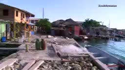 El guardián del manglar