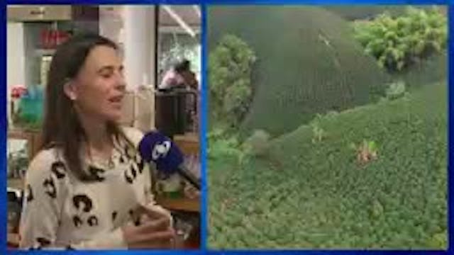 Entrevista: Camila Escobar - Presidenta Procafecol