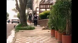 T4-Episodio 196