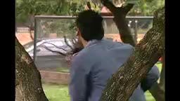 T4-Episodio 224