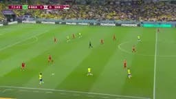 Richarlison - Brasil vs. Serbia 
