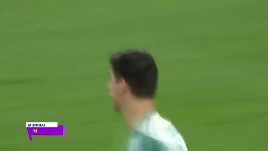 Nacer Chadli - Bélgica vs. Japón 
