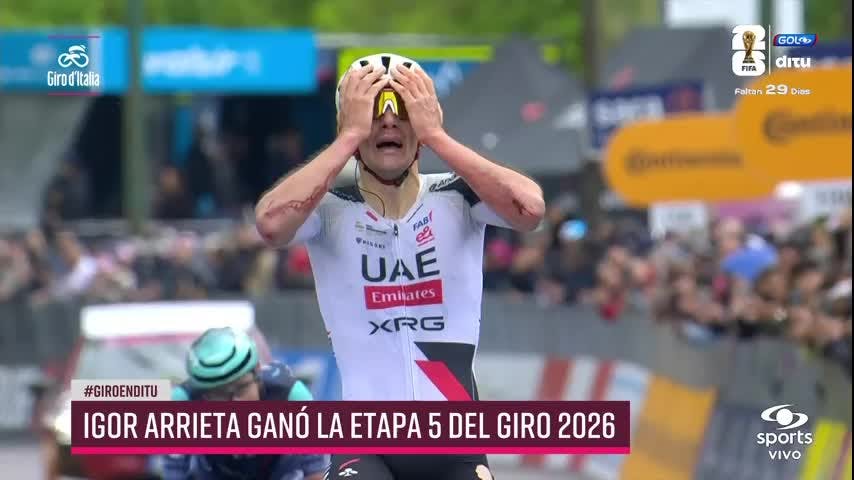  El lote contra la lluvia, granizo y neblina 