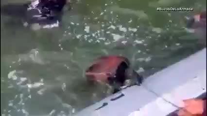 Domingo 07-Junio 2026