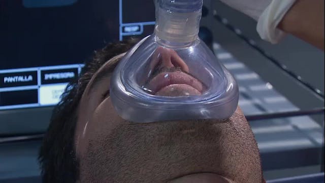 T7-Episodio 356