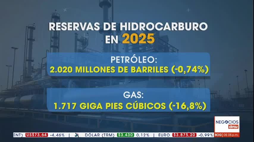 Reservas de hidrocarburos en 2025