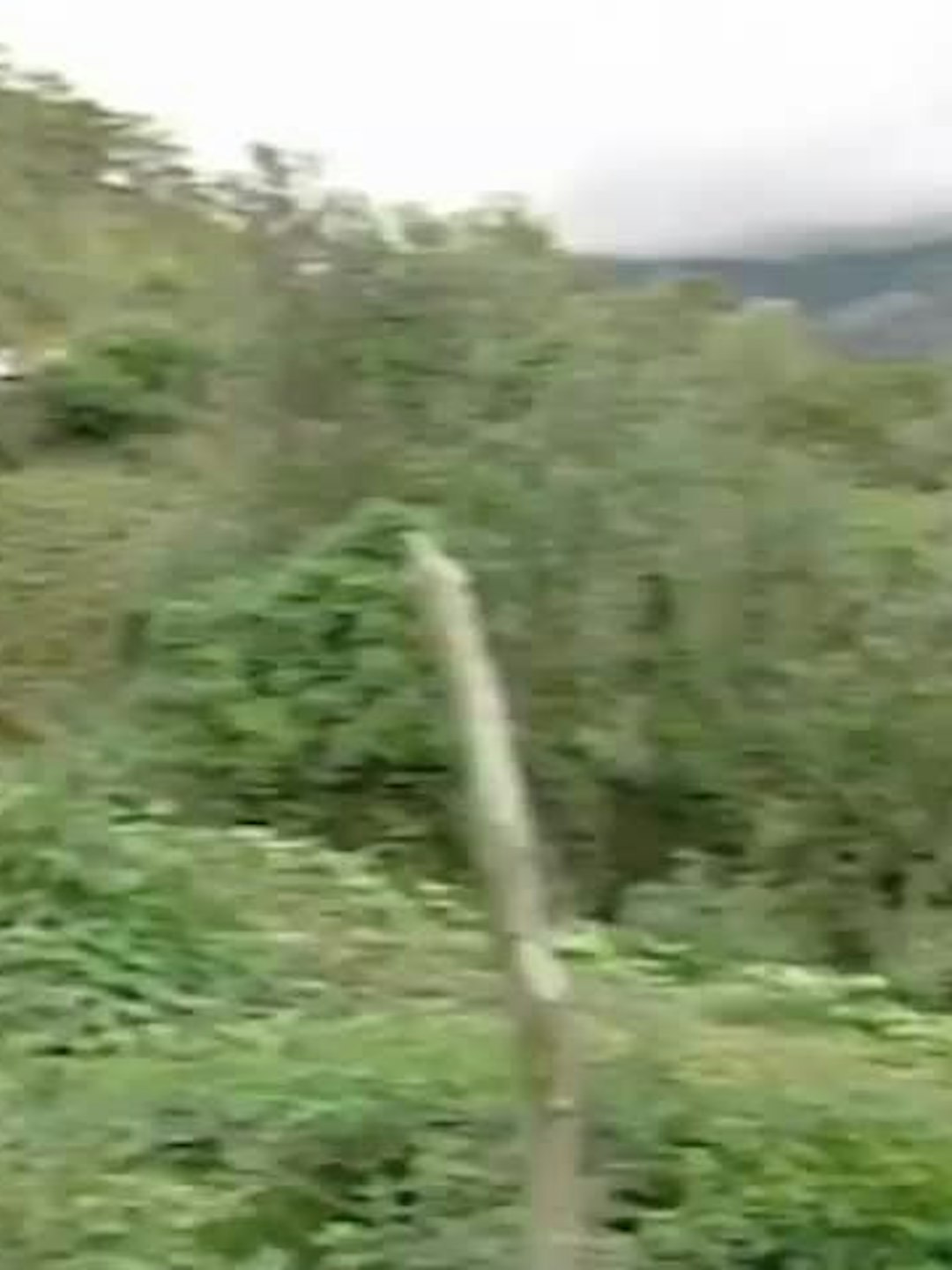 Gilberto Echeverri