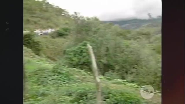 Gilberto Echeverri