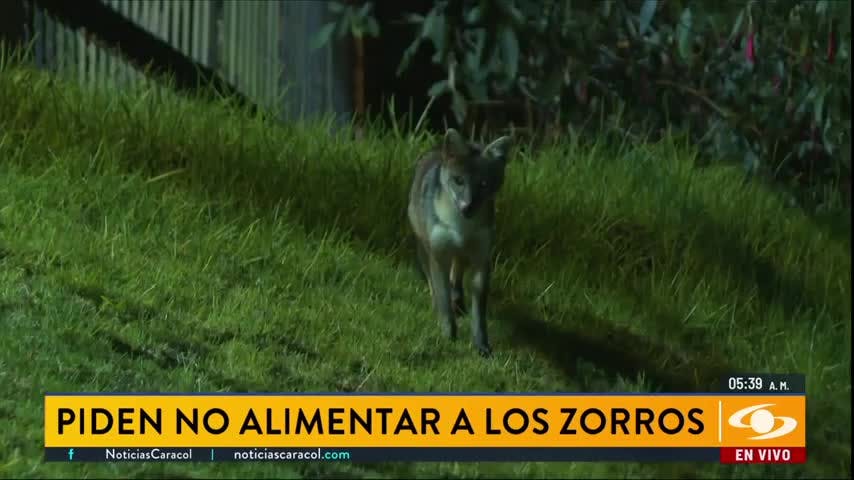 Primera Edición - 16 Julio 2026