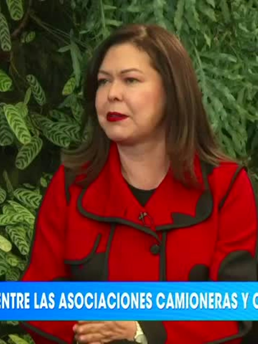Entrevista: Nidia Hernández Jiménez - Presidenta de COLFECAR