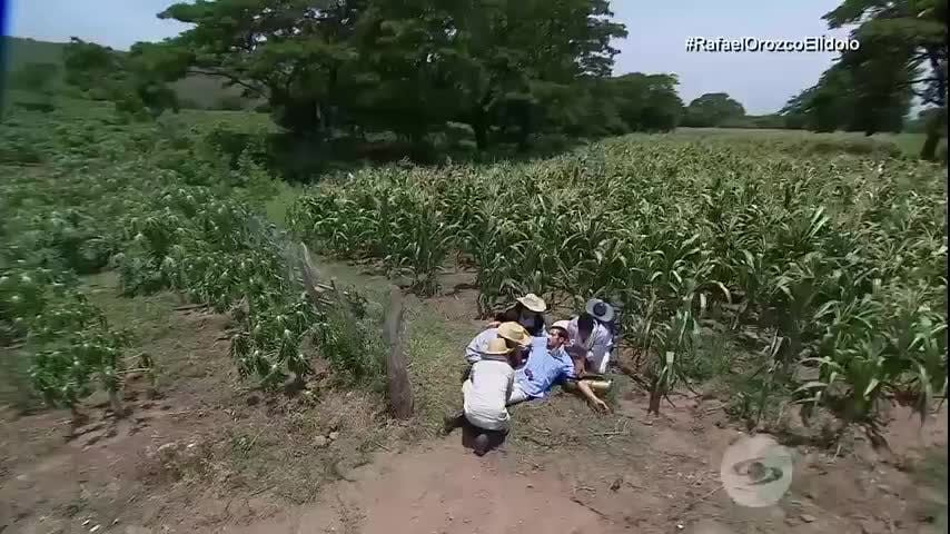 Misael enfrenta un diagnóstico