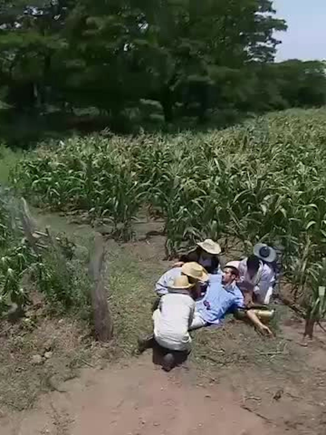 Misael enfrenta un diagnóstico