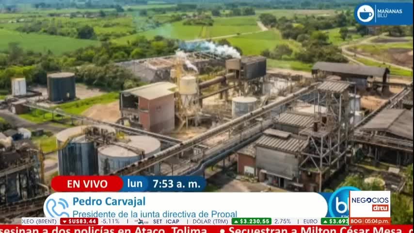 La quiebra de Propal
