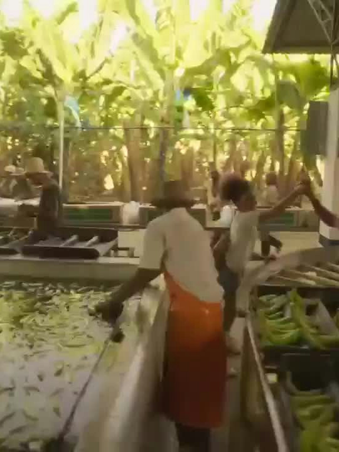 Nada Detendrá a María