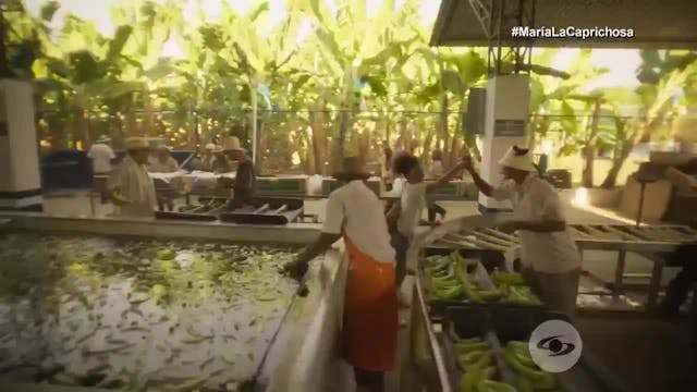 Nada Detendrá a María