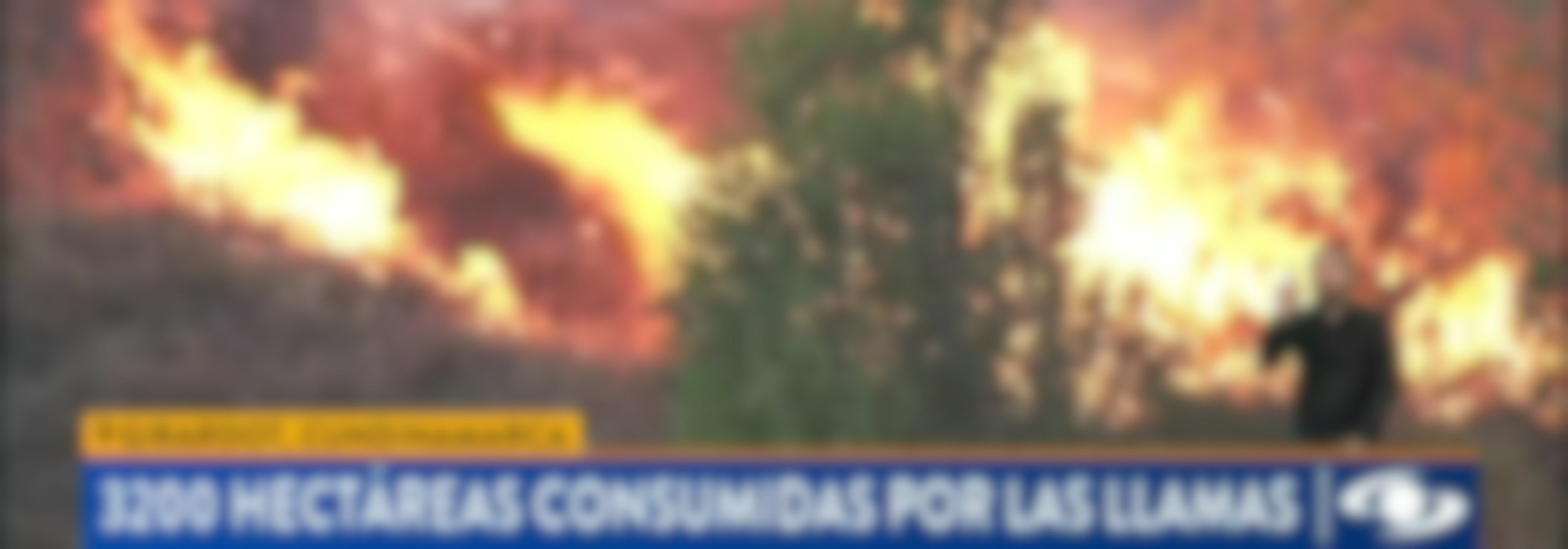Edición Mediodía - 21 Agosto 2026
