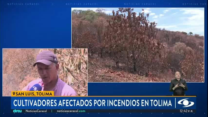 Edición Mediodía - 25 Agosto 2026