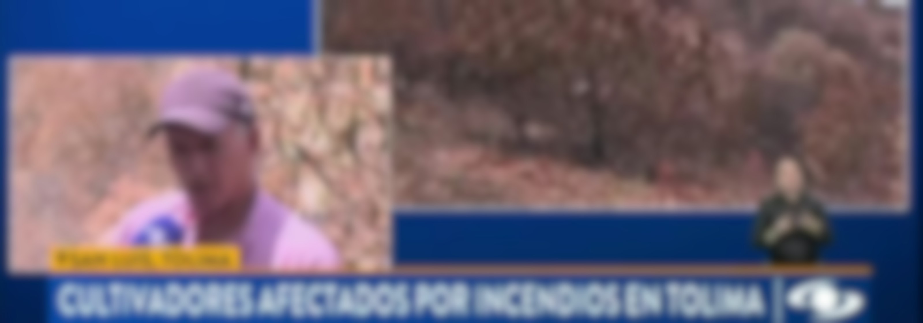 Edición Mediodía - 25 Agosto 2026