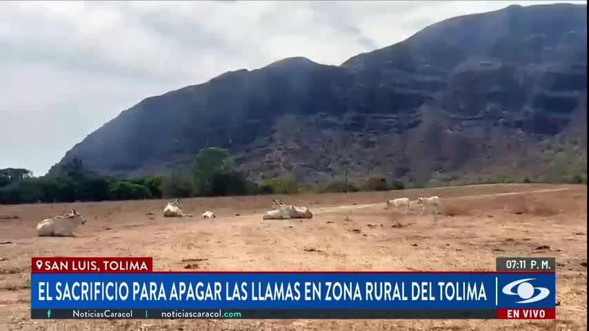 Edición Central - 28 Agosto 2026
